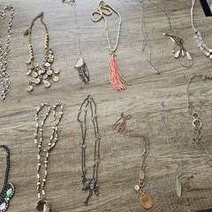 Premier Designs Jewelry HUGE 8+ lbs Necklace Lot 50 Necklaces Modern