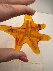 Vintage Unusual Bakelite Maple Leaf Brooch Root Beer Abstract Etched TESTED Fall