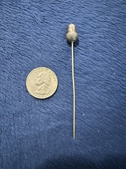 Vtg Sterling Silver 925 Acorn Straight Stick Pin, 3.5 in