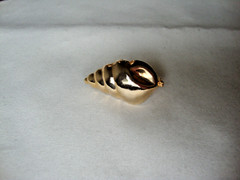 VTG 1970s SCALLOPED CONCH SHELL GOLD TONE HINGED W/SAFETY CATCH DRESS/SCARF CLIP