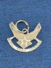 US Air Force VTG Silver Plated Pendant Or Charm Military Memorabilia