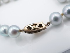 14k Light Blue Pearl Necklace Strand Yellow Gold 8.6mm 16″ Cultured NG1946