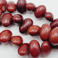 Artisan Hand Strung Red Seed Nut Bead Single Strand Infinity No Clasp Necklace