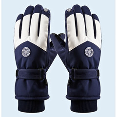 Winter Ski Gloves for Men and Women – Insulated Waterproof Touchscreen Gloves