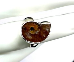 Excellent 450 mil years old Natural Ammonite Fossil .925 Sterling Silver Ring #6