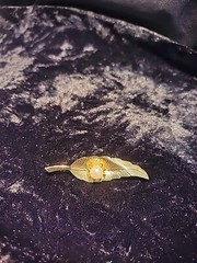 Vintage Gold Tone Brooch Leaf Feather White Bead Prong Ornate Jewelry Costume