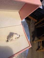 Carved Seashell Ring Fish Shape Size 4