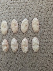Antique Hand Carved Coral Cameo Woman Portrait 1″ For Jewelry Making 9 Available