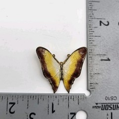 Amazing Realistic enamel Butterfly Brooch pin Estate Jewelry Insect