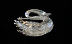 Vintage GERRYS Textured Silver-toned Swan Markasite Eye Brooch