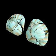 Chunky Ocean Blue Boho Coastal Sea Shells Statement Everyday Earrings 1.25″