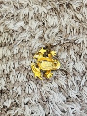 AAI Green Enamel Gold Tone Frog Brooch Pin Vintage Signed