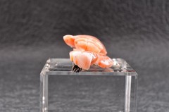 Vintage pink coral OBIDOME “Cherry blossom” Certificate, (56mm (2.20in) 59.0ct).