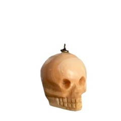 Victorian Conch Coral Memento Mori Skull Pendant 21mm Pre-drilled