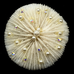 Round White Coral AB Rhinestones & Pearls Brooch Pin