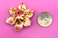 Gold Tone Rhinestones & Faux Pearl Flower Brooch Contemporary. 11