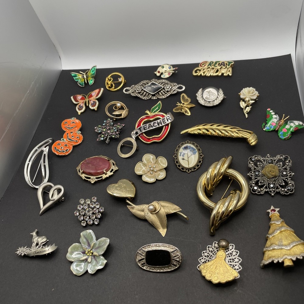 30+ Brooches Various Designs, Colors, Sizes Little To No Wear Vintage-Modern