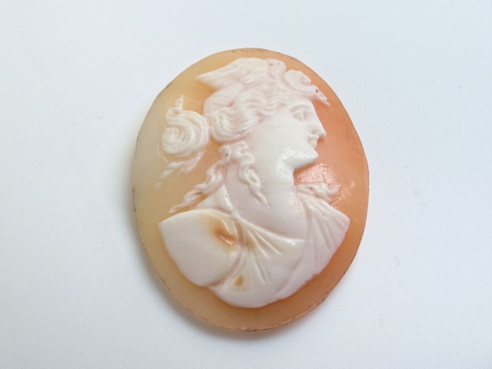 Vintage Loose Hand Carved Shell Cameo Woman with Bird on Head 1 1/8 Inch x 7/8In