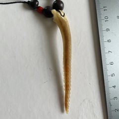 Stingray Barb With Beads Necklace And Clamp Vintage Beachwear