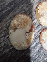 Vintage Cameo Profile Gorgeous Shell Carved Floral adorned Victorian Lady Lot