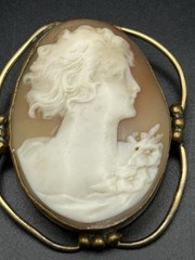 Vintage Cameo Brooch Pin Pendant Lot Of 6 One Carve Shell Lady In Profile