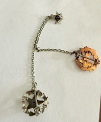 Vintage White And Yellow Gold Diamond Eastern Star / Masonic Pearl Pins 14k