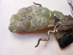 One of a Kind Necklace? Made of Copper and Minerals Handmade Odd