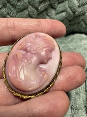 Oval Pink Cameo Portrait Brooch Pin Gold Tone Frame Beauty Theme