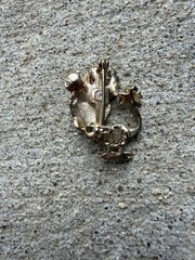 Vintage Mouse Brooch – Gold Tone with Green Emerald Rhinestone Eyes – Gerry’s