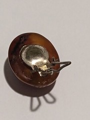 Beautiful Vintage Sunset Shade Glass Dome Clip On Earrings. MCM Style. 1″.