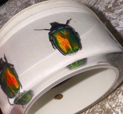 HUGE Kolos Designs Egyptian Revival Resin Lucite REAL Beetle Bug Estate Bracelet
