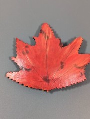 Vintage Painted Wood Red Orange Fall Autumn Maple Leaf Curved Pin