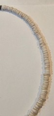 Vintage 1970s Authentic Puka Shell Necklace