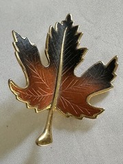 Vintage Gold Tone Concave Maple Leaf Brooch A1