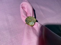 Vintage 1900’s Very Unusual Seed Pear & Amethyst Novelty Shell Clam Ring