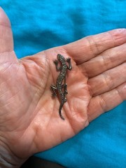 Vintage Sterling Silver Alligator Pin Solid 925