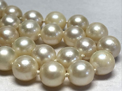 Vintage Akoya Cultured Pearl Necklace 15in Choker 7.8mm Cream Knotted Silver