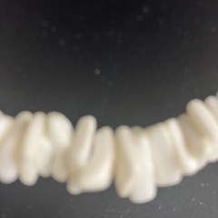 Vintage White Shell Necklace Choker Style 17 Inches