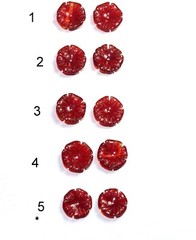 Carnelian Carved Flower 9MM Jackets For Studs Use With Any Stud Bridal Shower