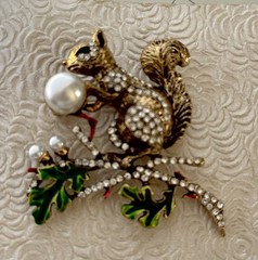 Squirrel acrylic vintage style brooch pin