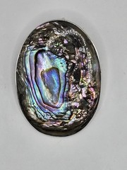 STERLING SILVER MEXICO ABALONE BROOCH/PENDANT