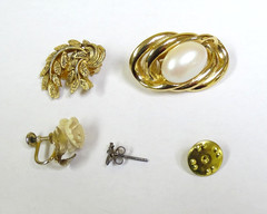 Untested Assorted Costume Jewelry / 254209