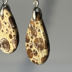 Teardrop Asteroid Jasper Sterling French Wire Earrings Natural Gemstone Casual