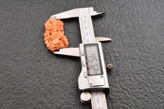 Intricate Hand-Carved Natural Coral Floral OBIDOME Certificate (total 71.0ct).