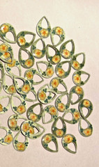 56x Vtg. Guilloche Enamel Charm – Teardrop hoop charm shape- Yellow Flower/green