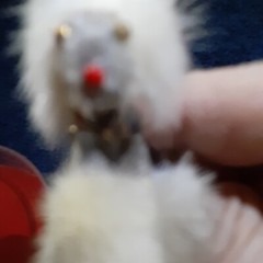 VINTAGE ORIGINAL FUR POODLE BROOCH MINT IN CONTAINER