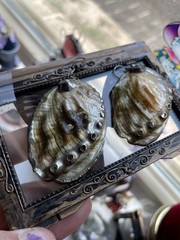 Vintage Iridescent abalone sea shell 2 inch earrings & Smal Pendant