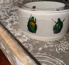 HUGE Kolos Designs Egyptian Revival Resin Lucite REAL Beetle Bug Estate Bracelet