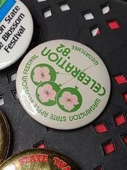 Lot Of 6 Vintage Washington State Apple Blossom Festival Pin Back Buttons
