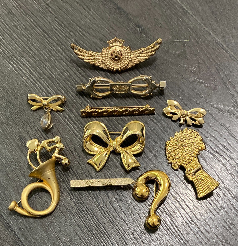 10 Vintage Gold-Tone Brooch Pins-Vail Ski-Napier ? Mark-Mustard Seed Bow-& More